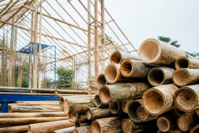 Le bambou, un matériau écologique et durable pour la construction d&rsquo;habitat